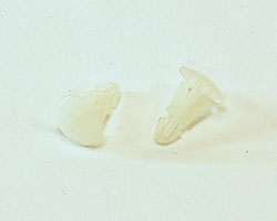 RS-05